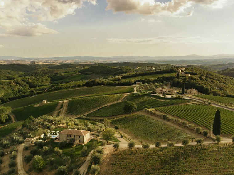 Boschetto Campacci, Castelnuovo Berardenga, Italy