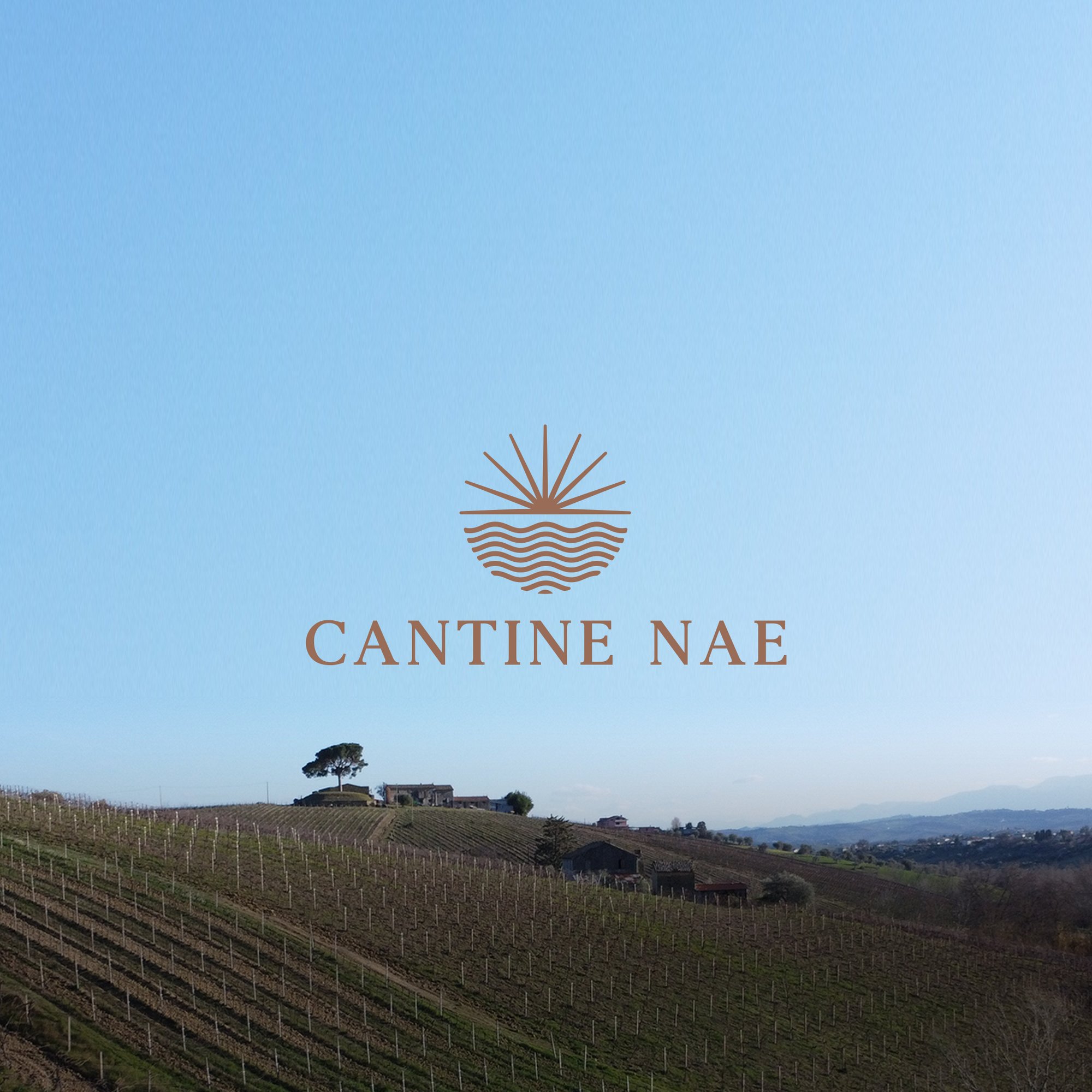 Cantine NAE, Controguerra, Italy