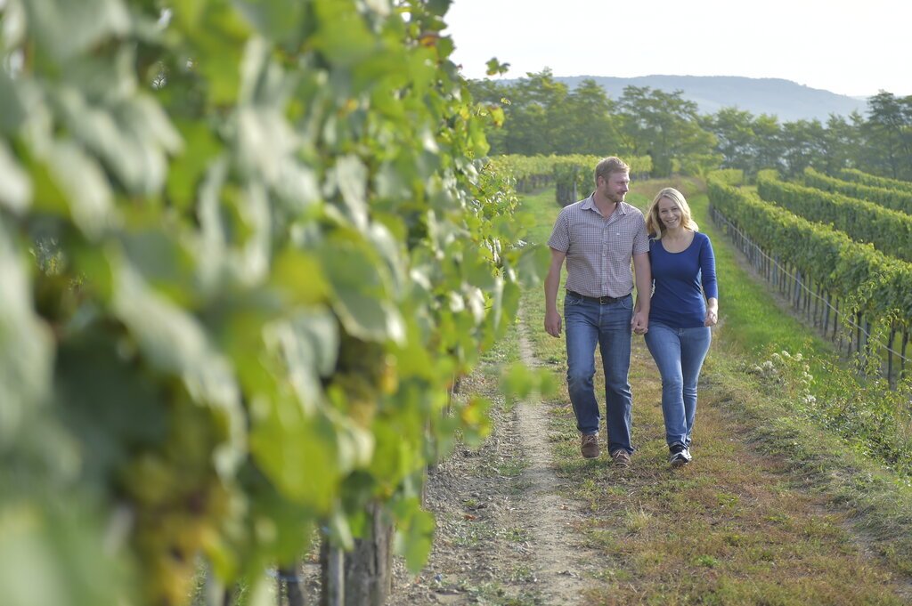 Bioweingut Familie Schnabl, Winery in Retz