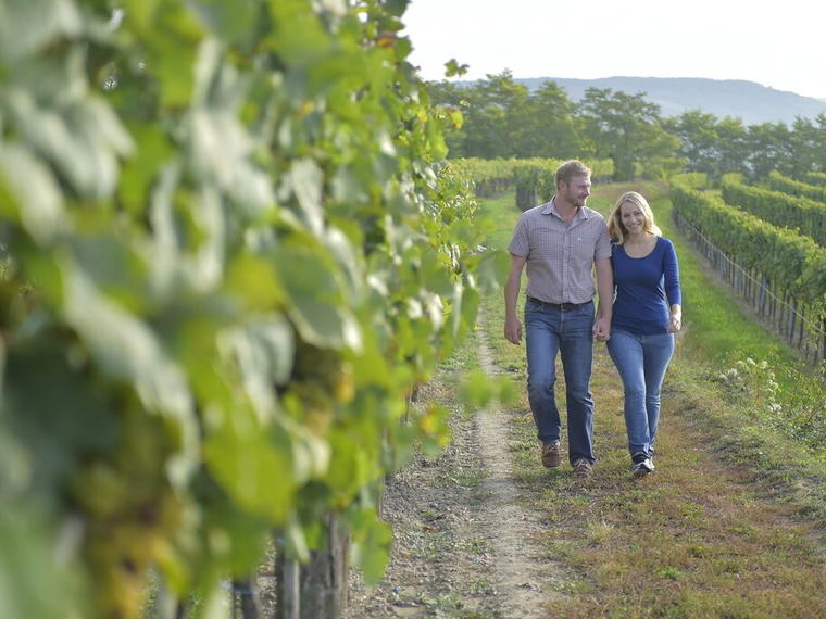 Bioweingut Familie Schnabl, Retz, Austria