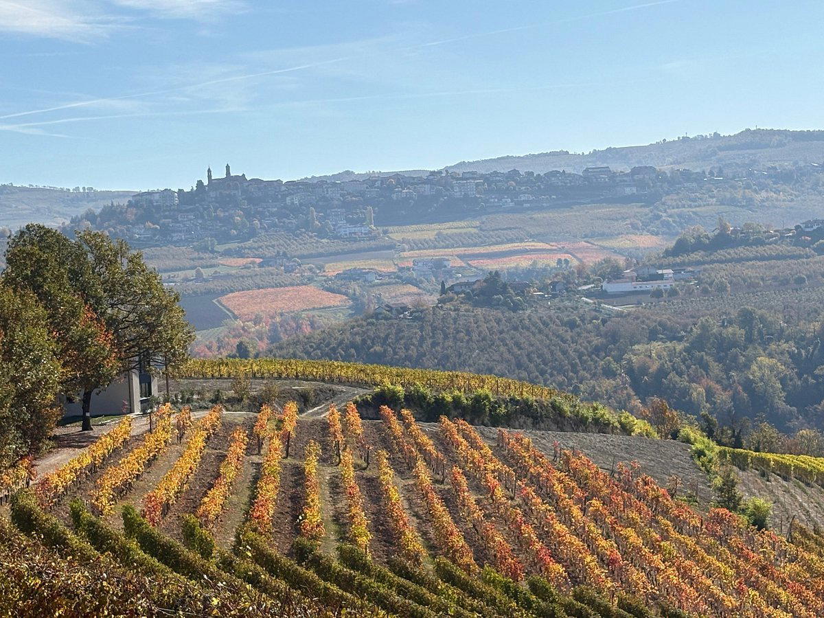 Abrigo Fratelli winery in Diano D Alba