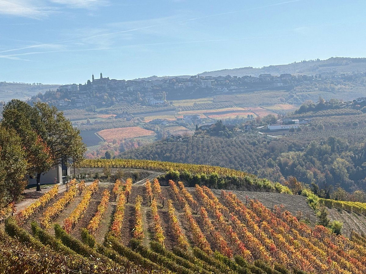 Abrigo Fratelli, Winery in Diano D Alba