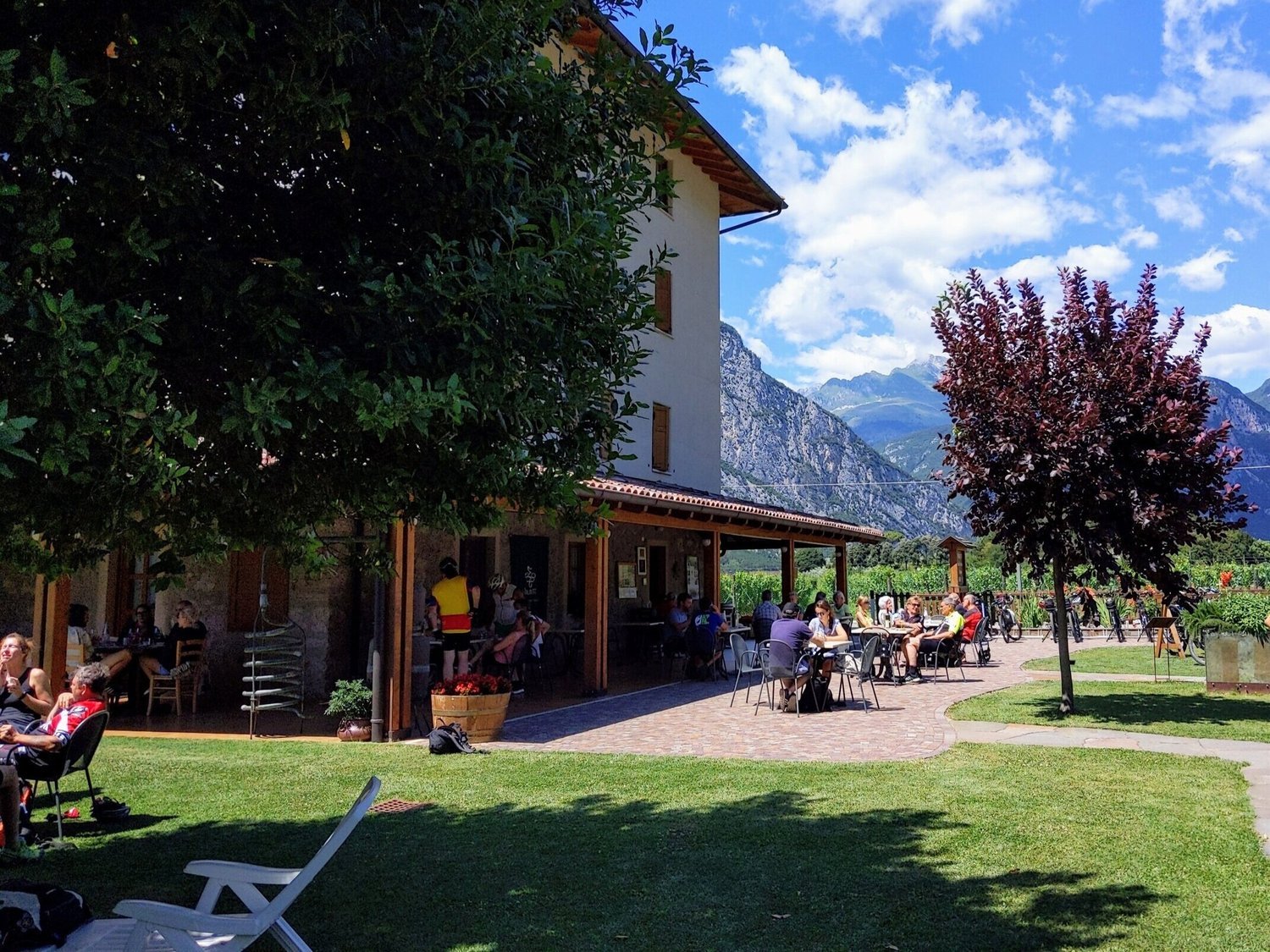 Azienda Agricola Gino Pedrotti, Lago Di Cavedine Pietramurata, Italy