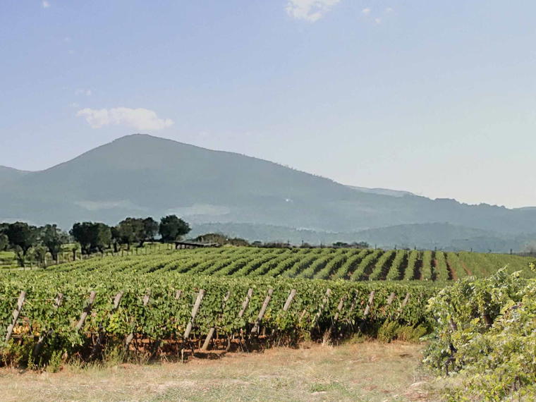 Biserno, Bibbona, Italy