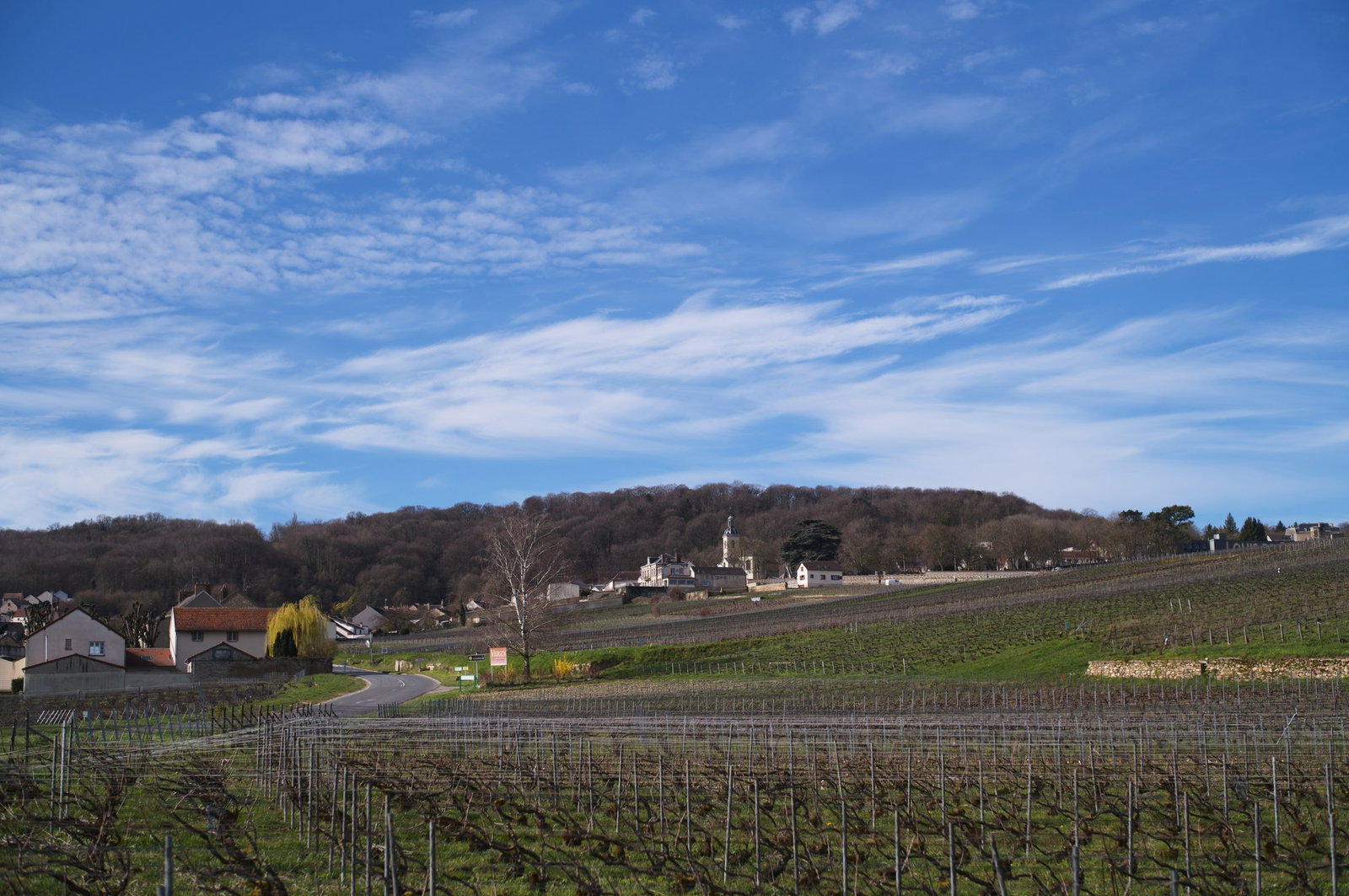 Champagne Mouzon Leroux et fils, Verzy, France