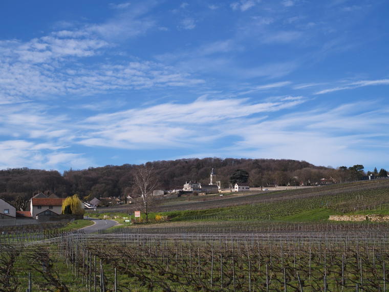 Champagne Mouzon Leroux et fils, Verzy, France