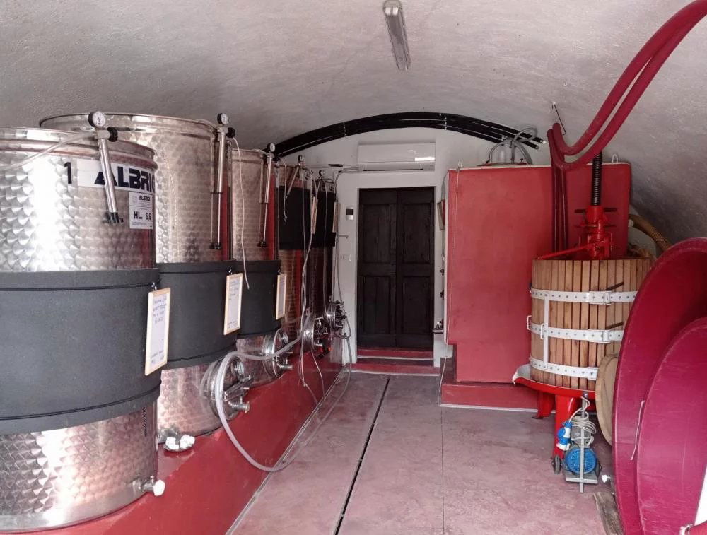 Antico Gelso, Winery in Pozzolengo