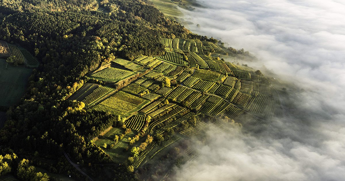 Weingut Markus Huber