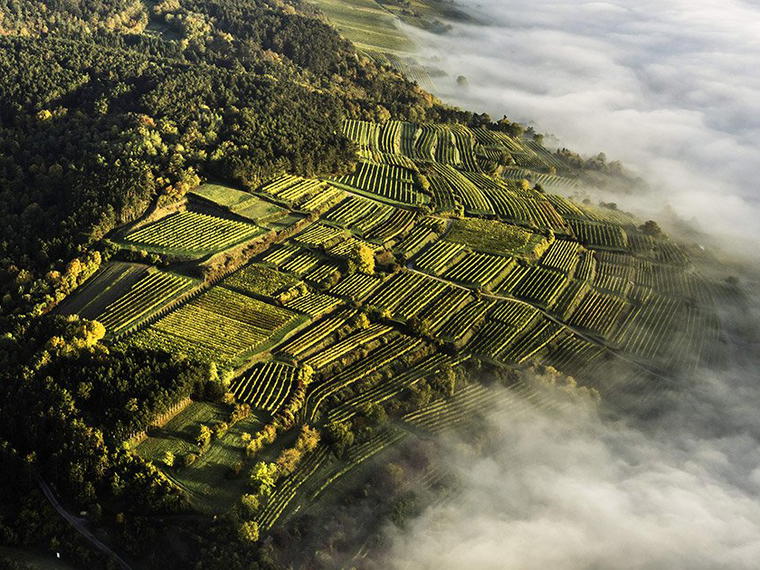 Weingut Markus Huber, Reichersdorf, Austria