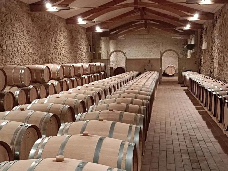 Grand Enclos du Château de Cérons, Cerons, France