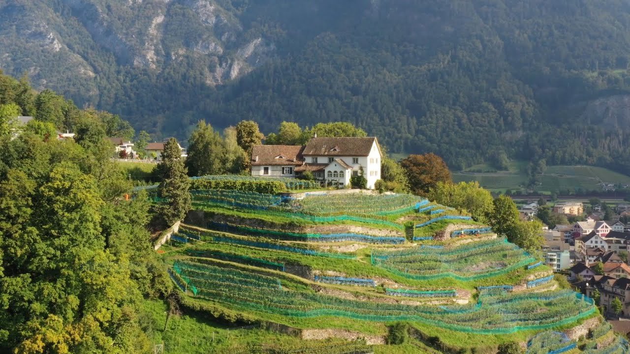 Bärtsch Weine, Mels, Switzerland