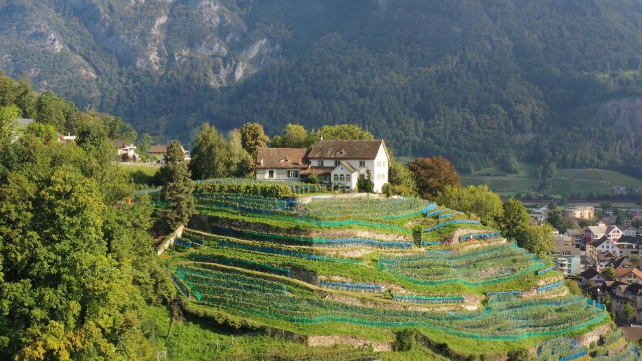 Bärtsch Weine, Winery in Mels