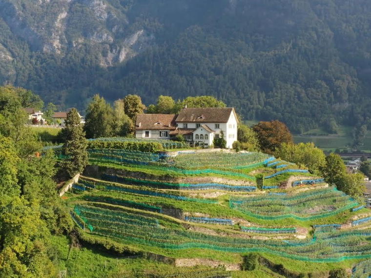 Bärtsch Weine, Mels, Switzerland