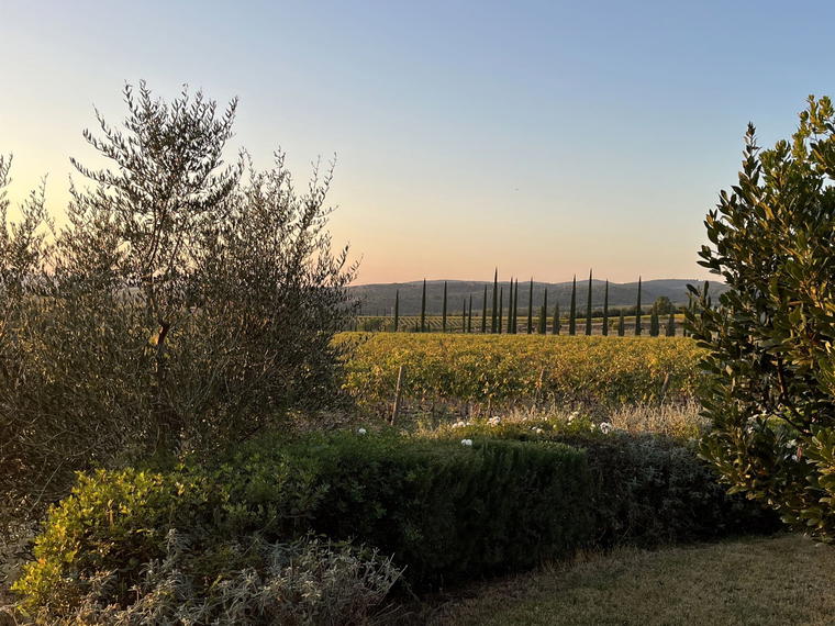 Caprili, Montalcino, Italy
