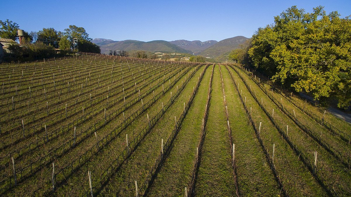 Cantine Belisario