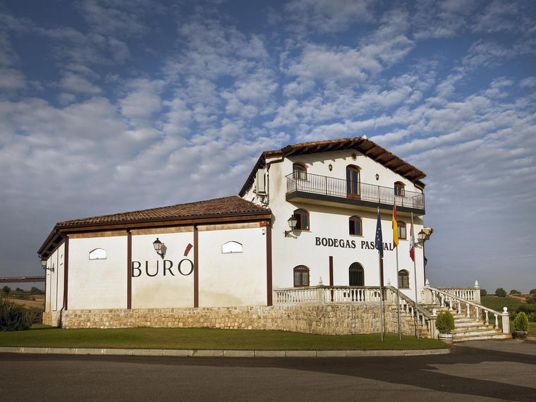 Bodegas Pascual, Fuentelcesped, Spain
