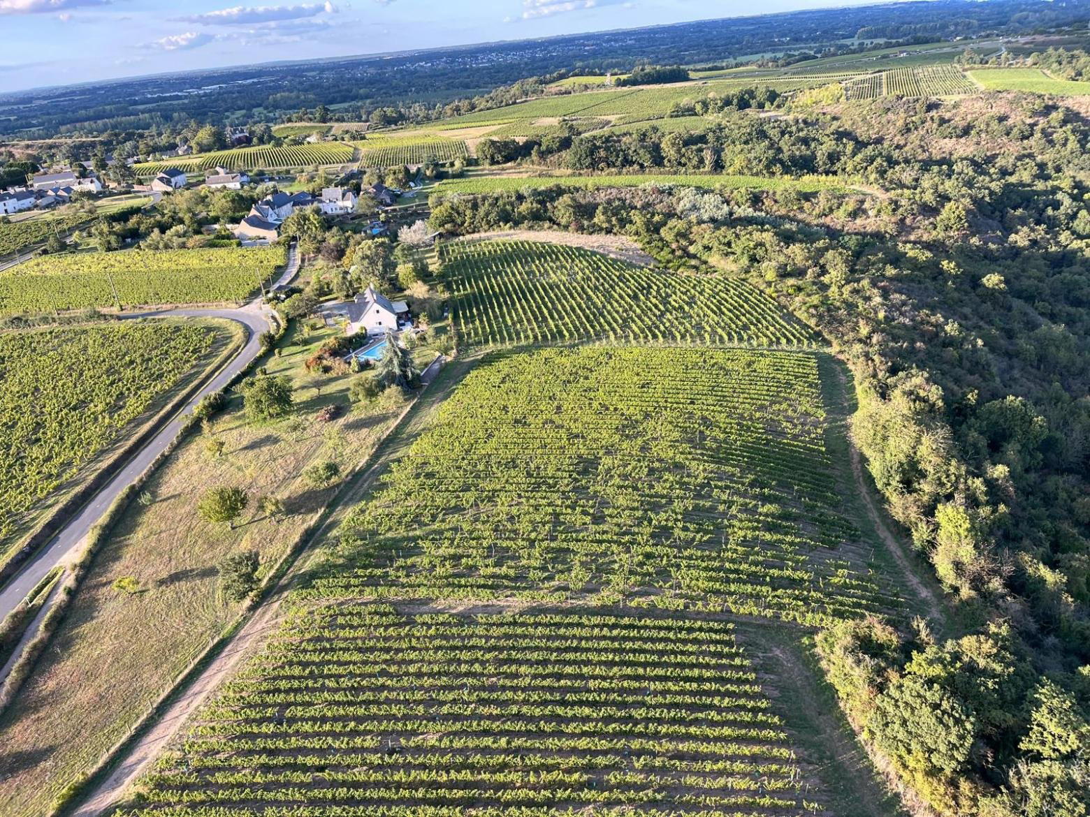 Domaine Patrick Baudouin, Chaudefonds Sur Layon, France