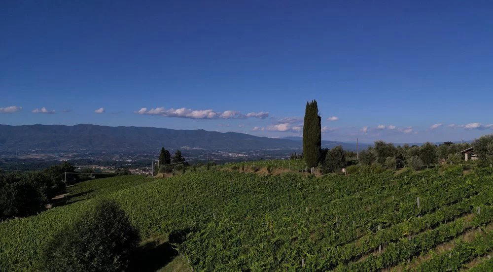 Monnanni - Poggi del Chianti winery in Cavriglia