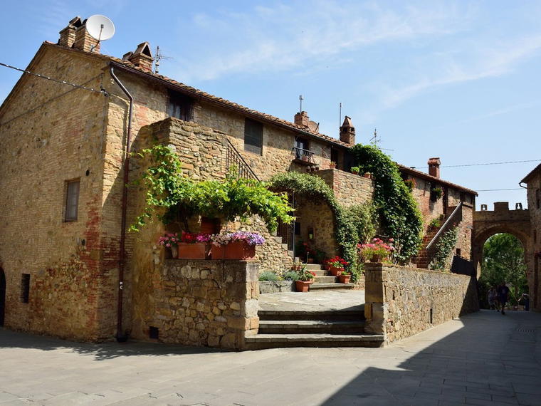 Basile, Cinigiano, Italy