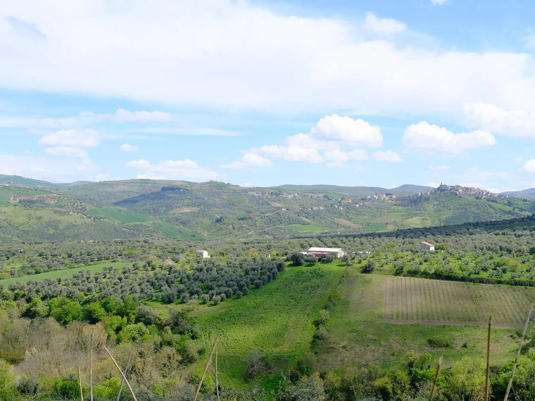 Basilisco, Barile, Italy