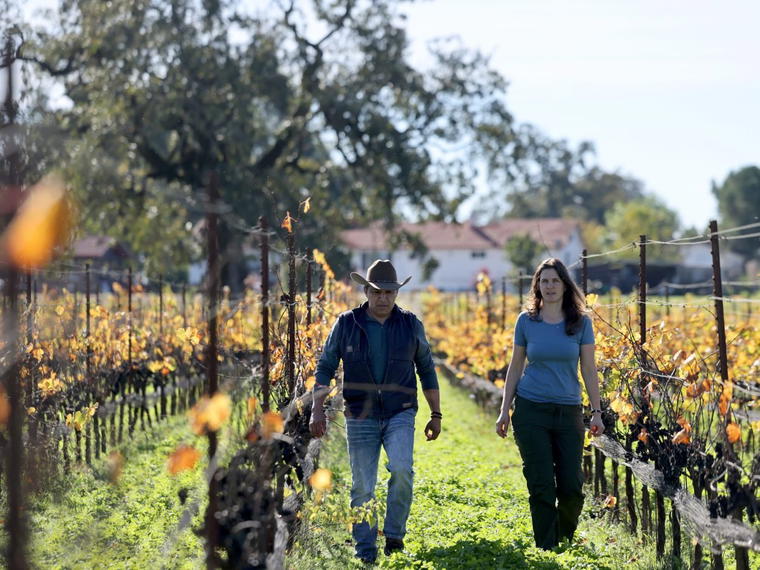 Tierra Roja Vineyards, Oakville, United States