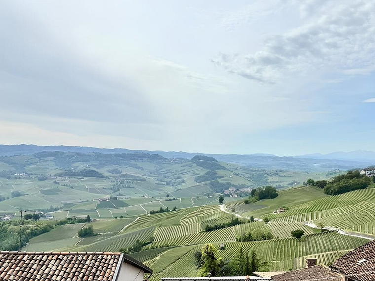 Azienda Agricola Gianni Voerzio, La Morra, Italy