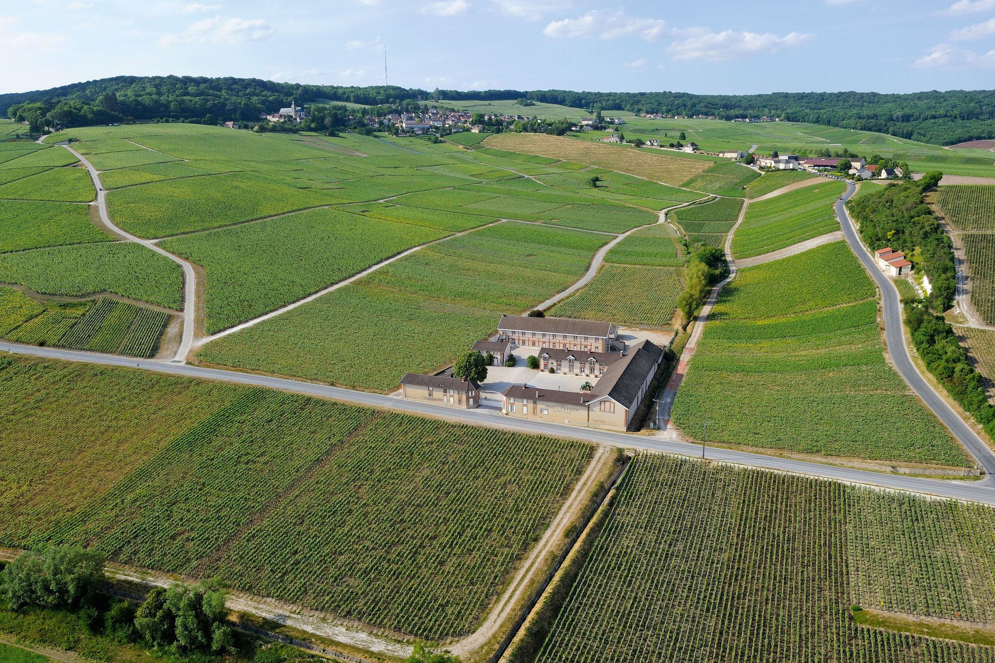 Champagne Rare, Winery in Reims