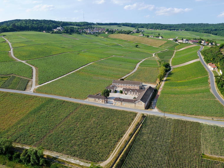 Champagne Rare, Reims, France
