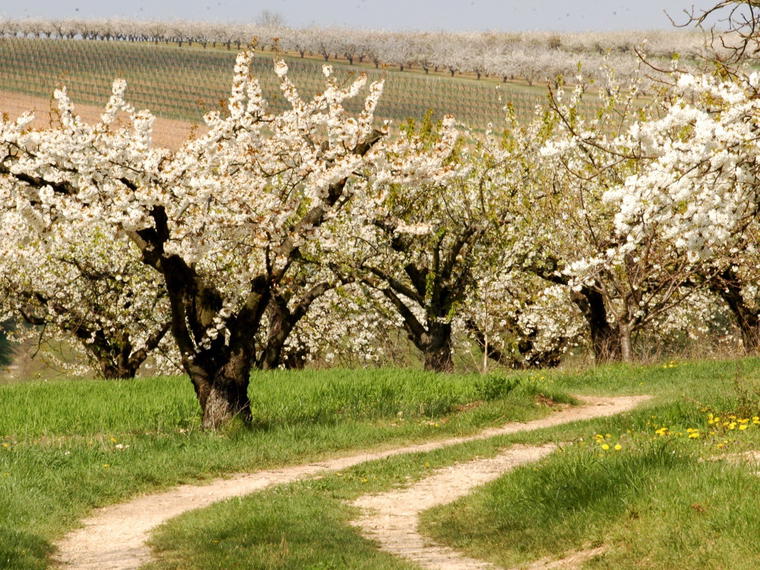 Le Domaine d'Edouard, Vaux, France