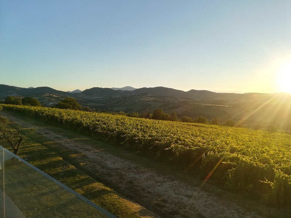 CasalFarneto, Serra De Conti, Italy