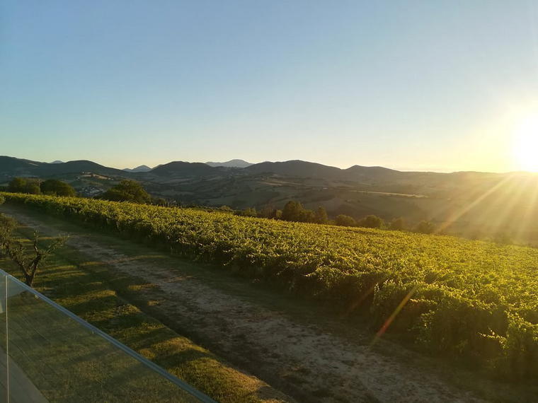 CasalFarneto, Serra De Conti, Italy
