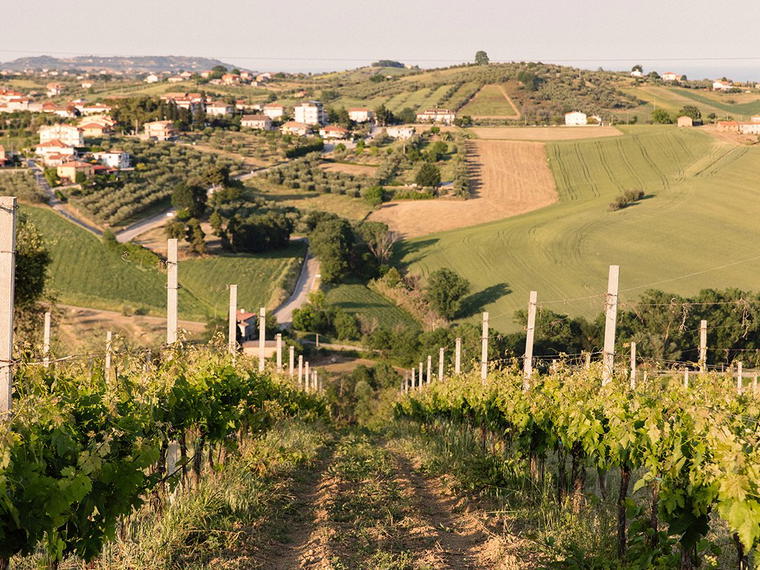 Cantina Strappelli, Torano Nuovo, Italy