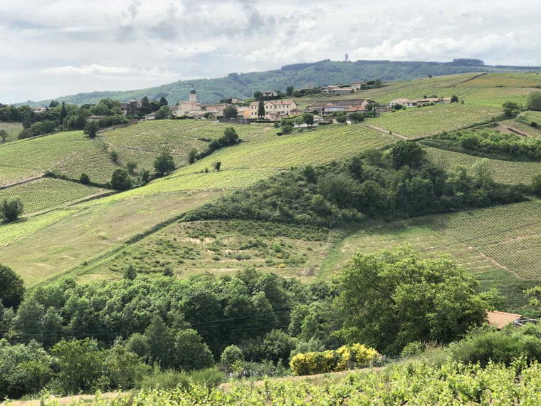 Domaine Chapel, Regnie Durette, France