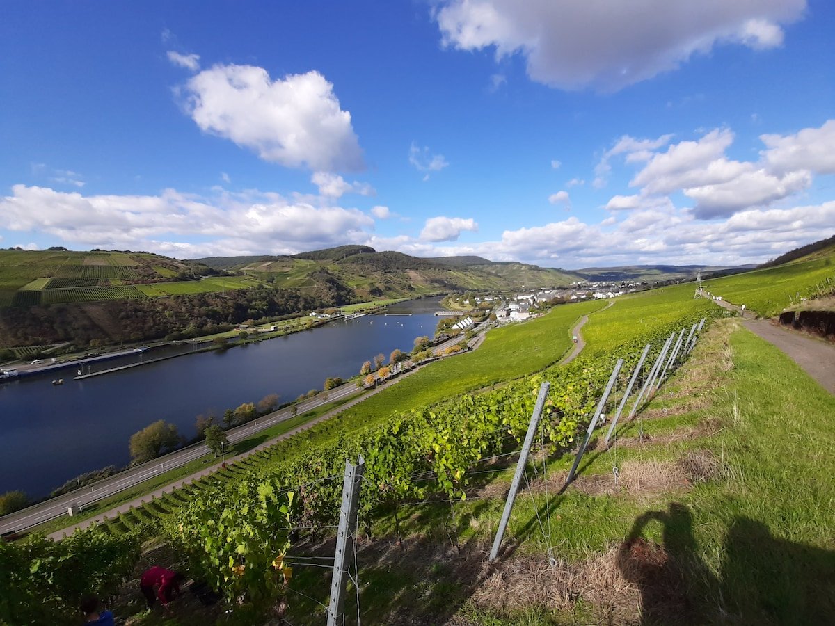 Ackermann ...das Weingut