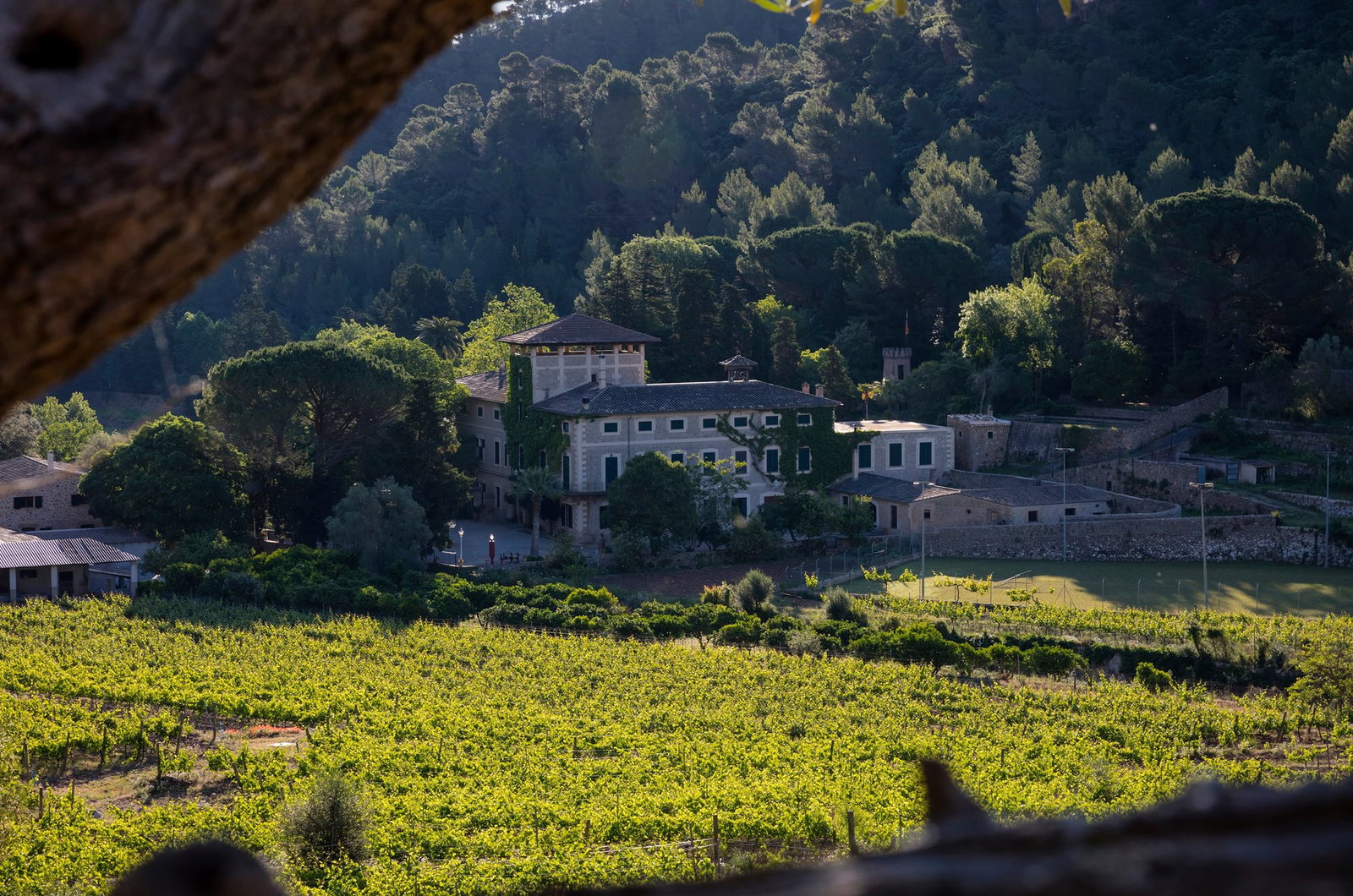 Bodega Son Vich de Superna, Puigpunyent, Spain