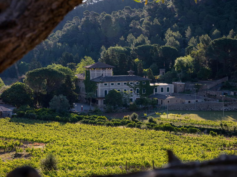 Bodega Son Vich de Superna, Puigpunyent, Spain