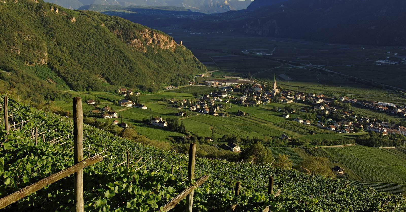 Cantina Terlano winery in Terlan, Italy
