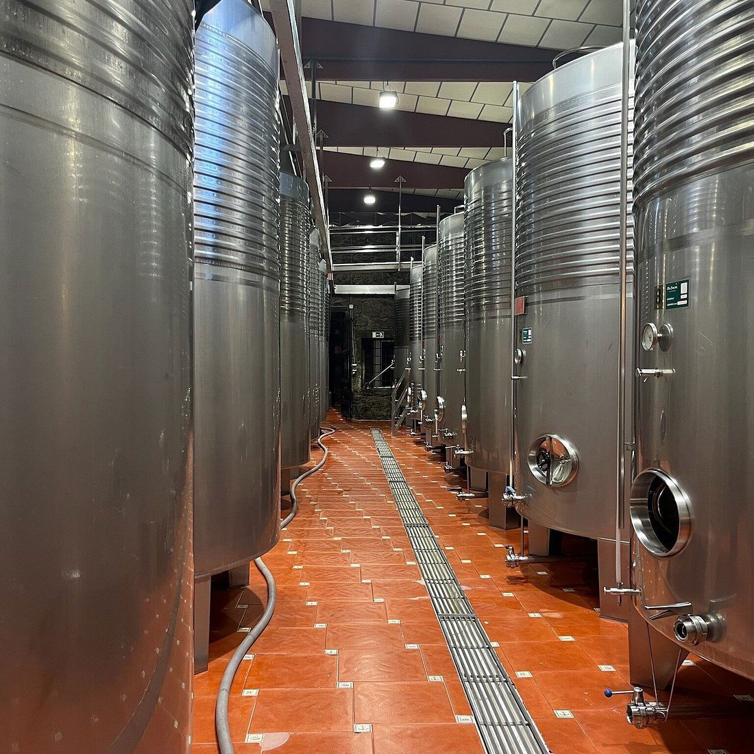 Bodegas Fillaboa, S.A., Winery in Pontevedra