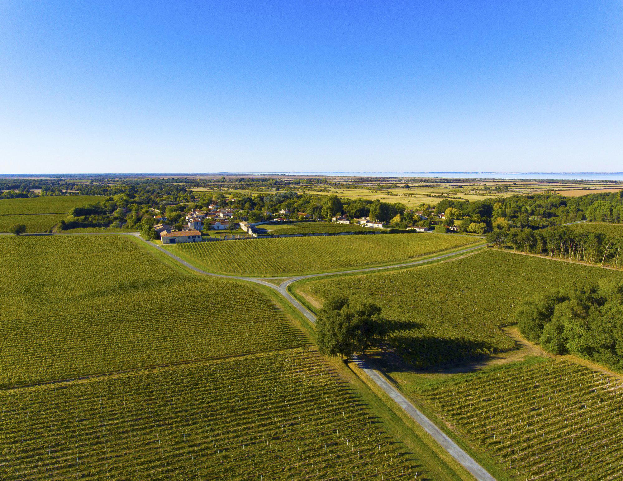 Château Saint Aubin winery in Jau Dignac Et Loirac