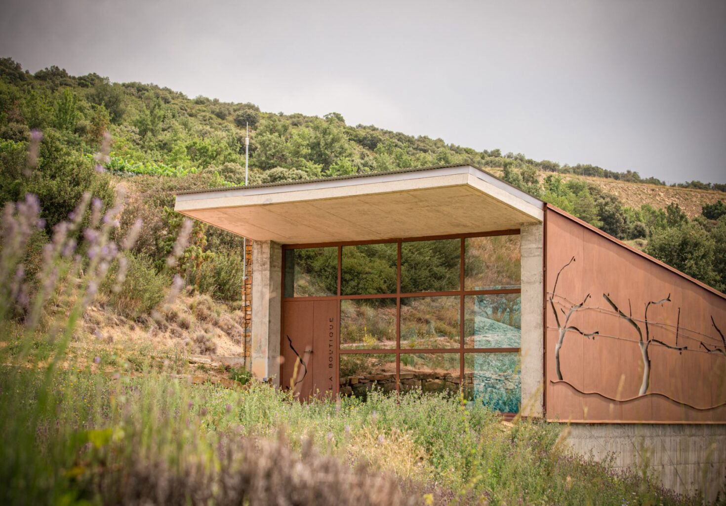 Castell d’Encus, Winery in Talarn