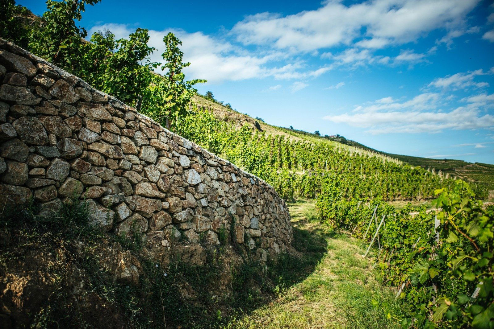 Domaine Pierre-Jean Villa, Winery in Chavanay