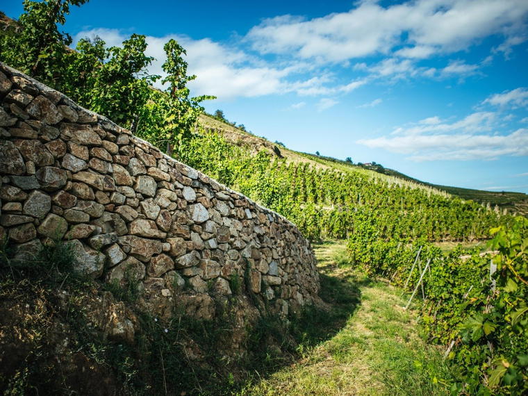 Domaine Pierre-Jean Villa, Chavanay, France