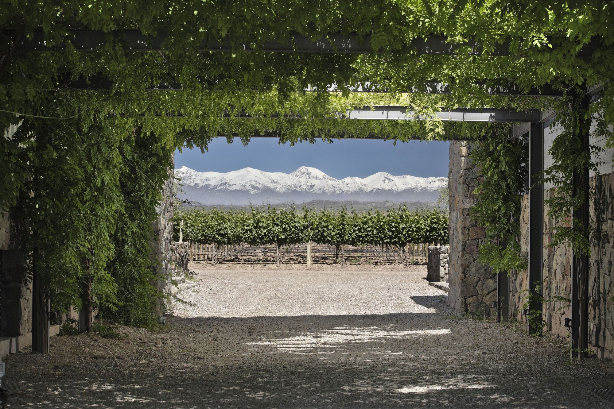 Bodegas y Viñedos O. Fournier, Winery in Talca