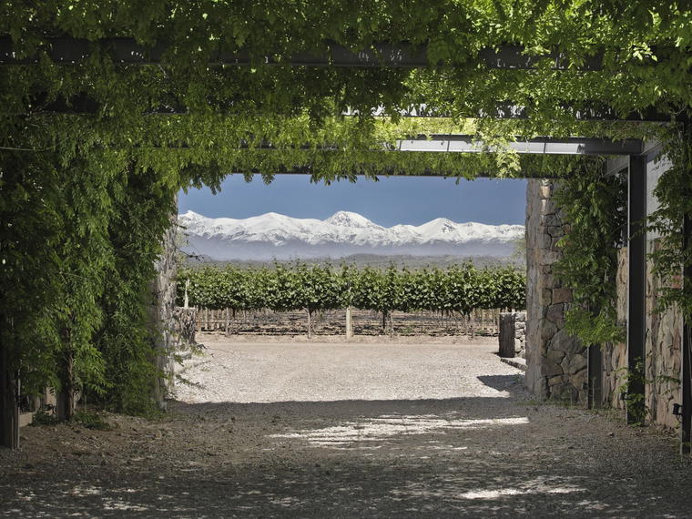 Bodegas y Viñedos O. Fournier, Talca, Chile