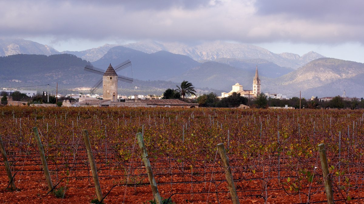 Bodegas Biniagual