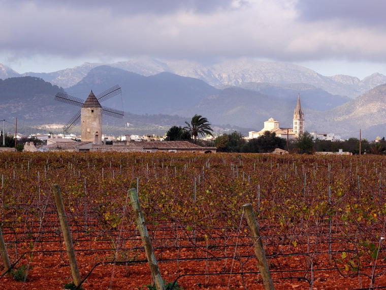 Bodegas Biniagual, Binissalem, Spain