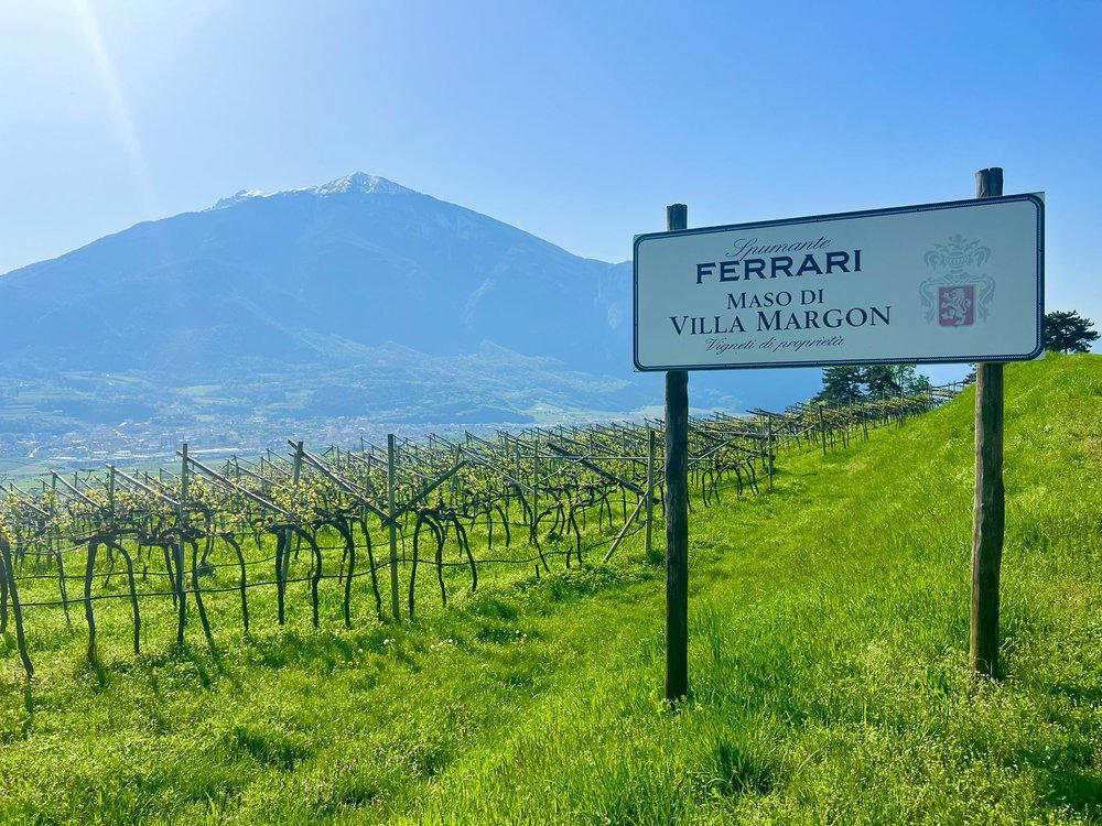 Tenute Lunelli winery in Trento