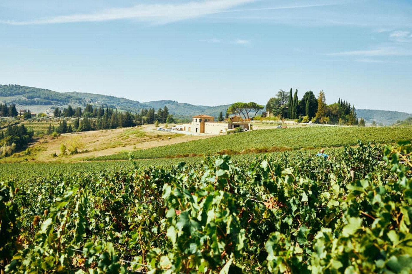 Tenuta La Massa winery in Panzano In Chianti, Italy
