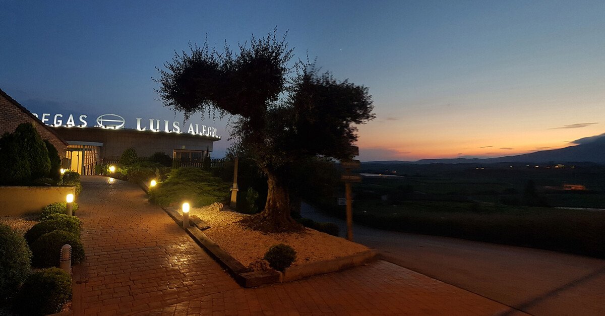 Bodegas Luis Alegre, Winery in Laguardia