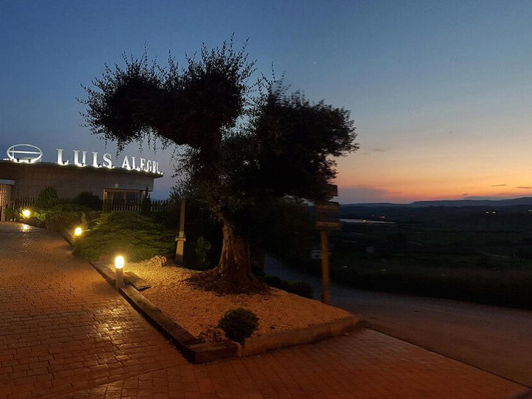 Bodegas Luis Alegre, Laguardia, Spain